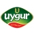 Uygur