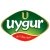 Uygur